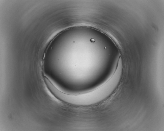 X0000111021476200907022148