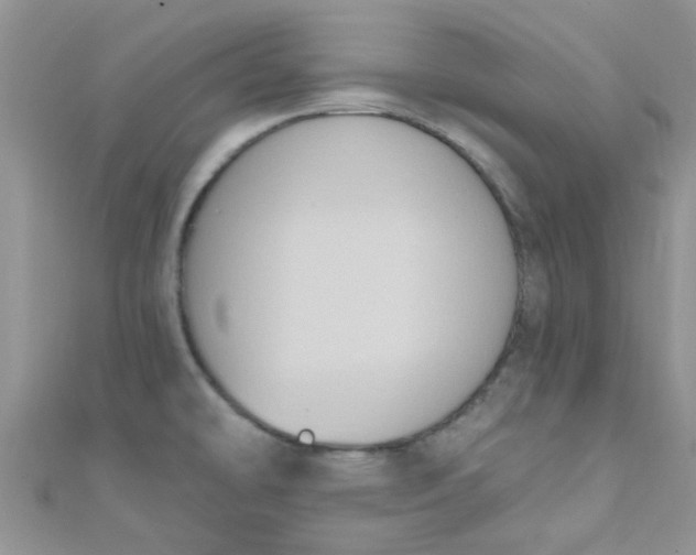 X0000111021478200907022148