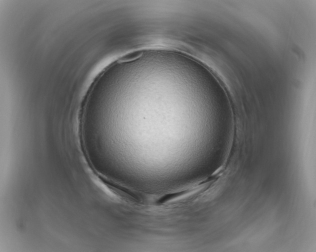 X0000111021480200907022148