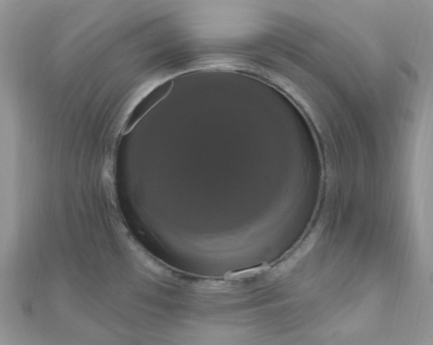 X0000111021481200907022148