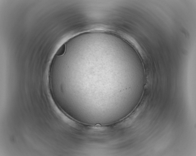 X0000111021483200907022148