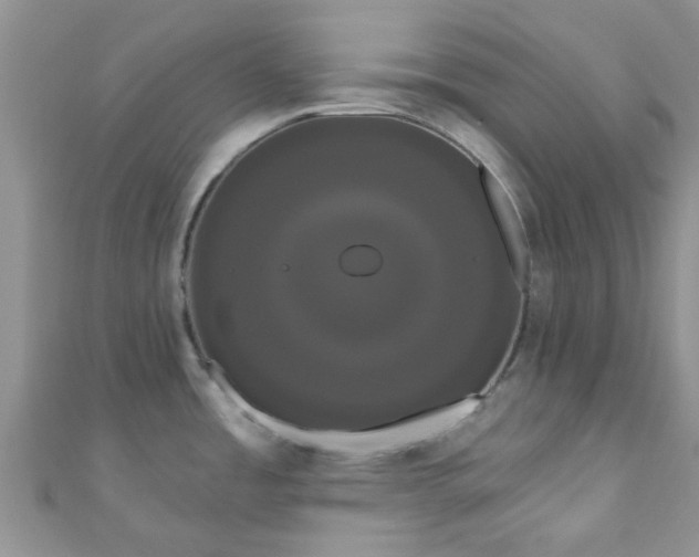 X0000111021485200907022148
