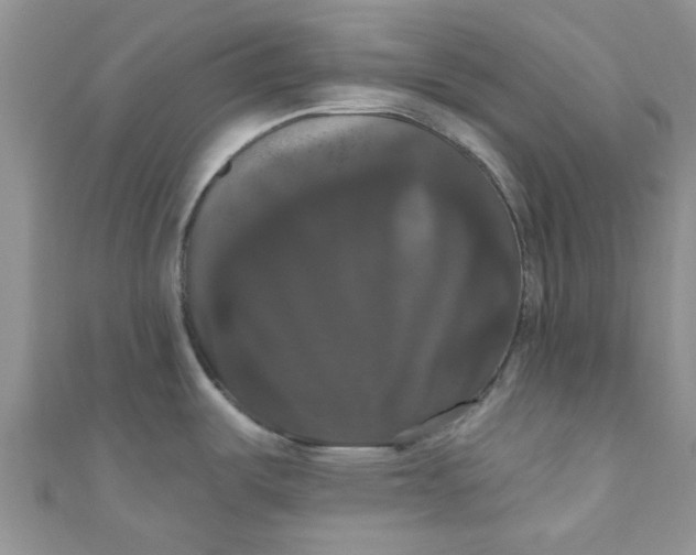 X0000111021487200907022148