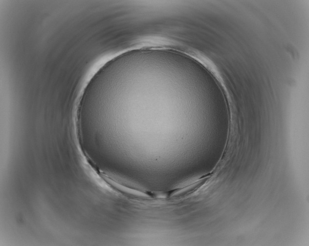 X0000111021488200907022148