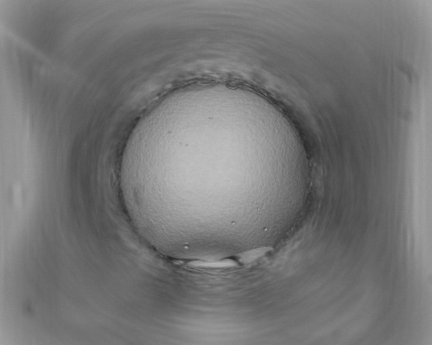 X0000111021489200907022147