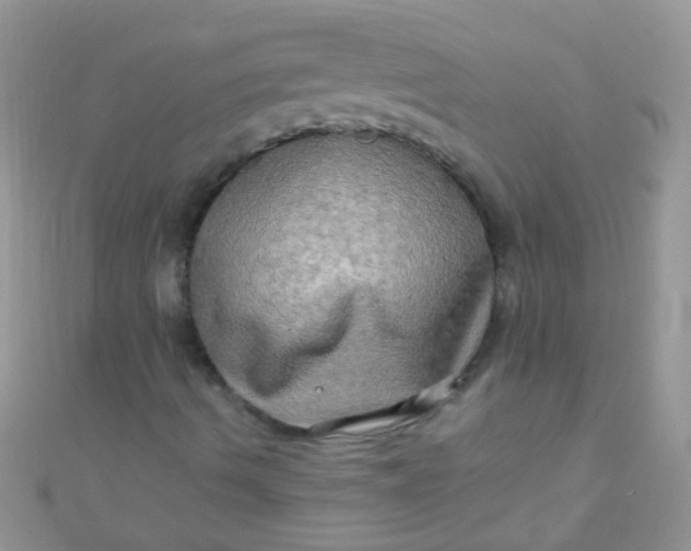 X0000111021490200907022147