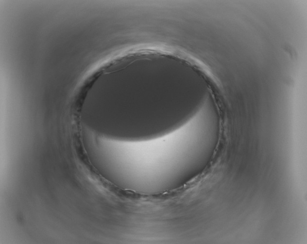 X0000111021496200907022147