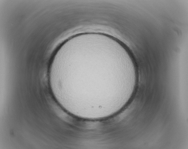 X0000111021498200907022147