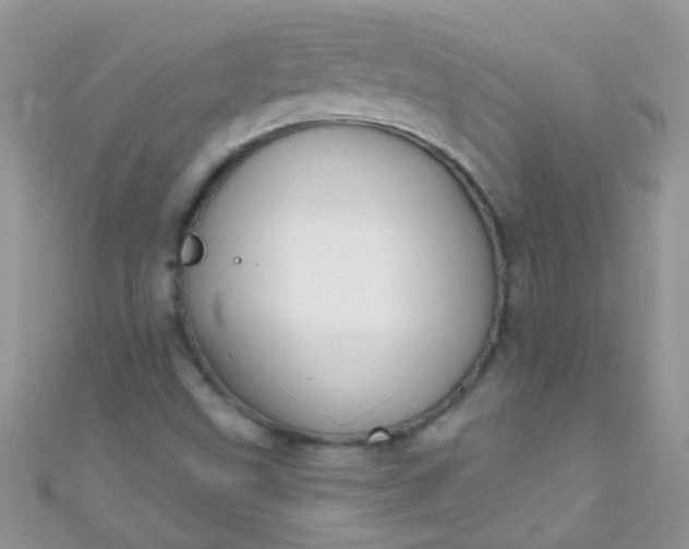 X0000111021499200907022147
