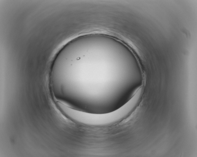 X0000111021500200907022147