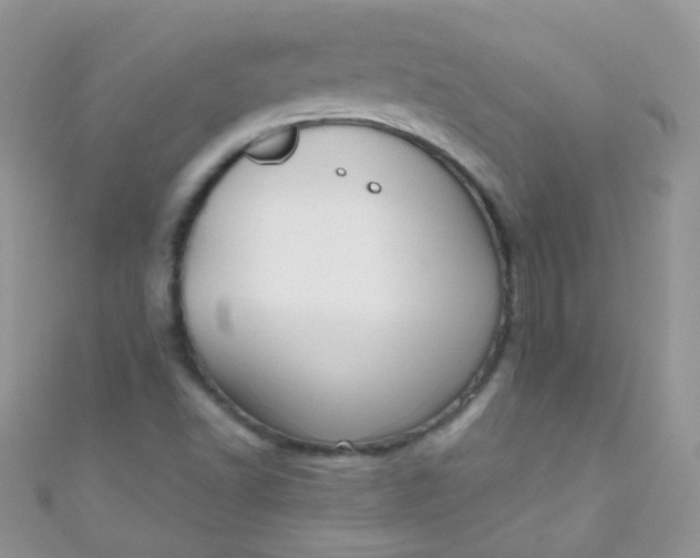 X0000111021502200907022147