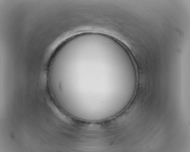 X0000111021503200907022147