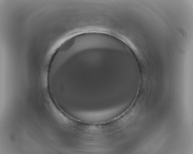 X0000111021504200907022147