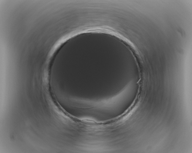 X0000111021506200907022147