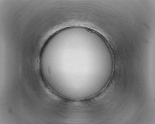 X0000111021507200907022147