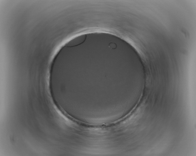X0000111021508200907022147