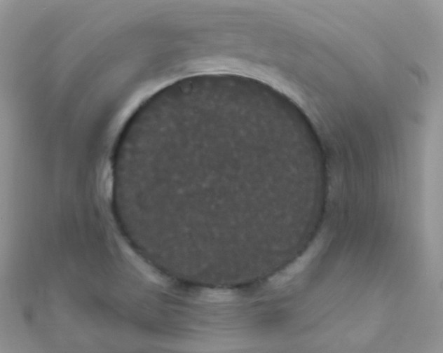 X0000111021509200907022147