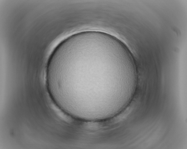 X0000111021511200907022147