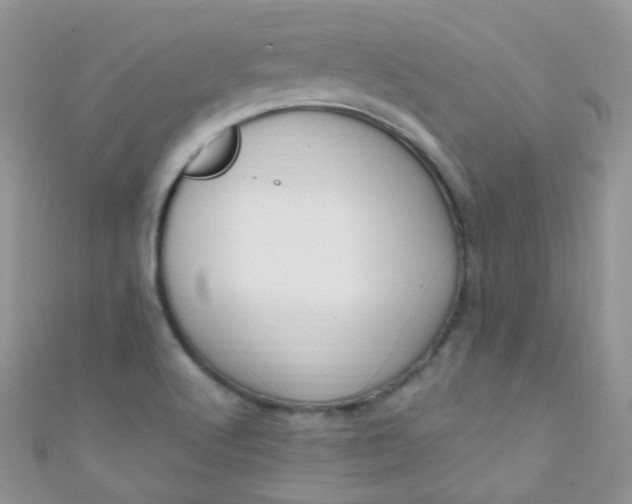 X0000111021512200907022147