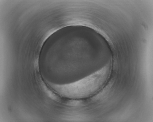 X0000111021513200907022147