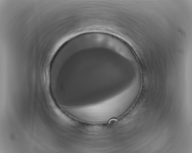 X0000111021515200907022147