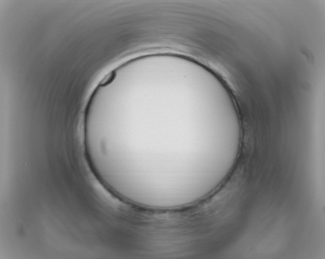 X0000111021516200907022147