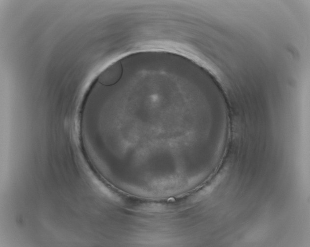 X0000111021517200907022147
