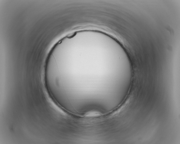 X0000111021518200907022147