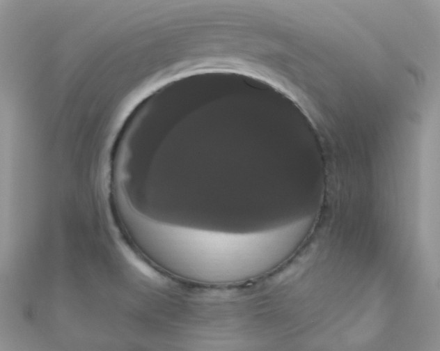X0000111021519200907022147