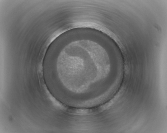 X0000111021521200907022147