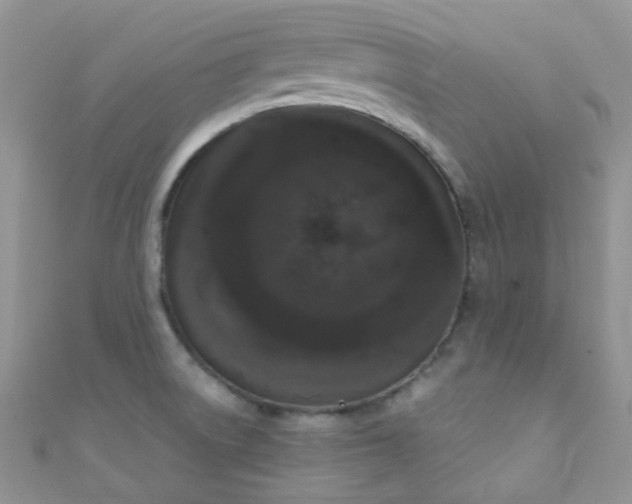 X0000111021522200907022148