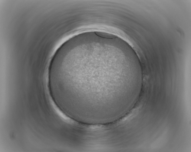 X0000111021523200907022148