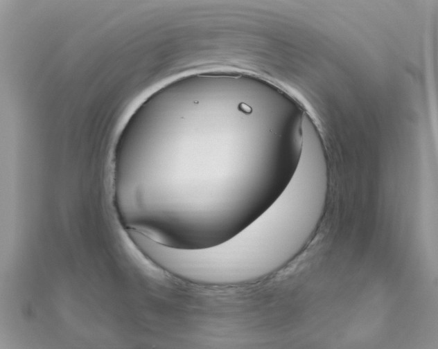 X0000111021524200907022148