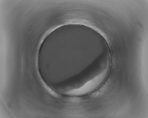 X0000111021525200907022148