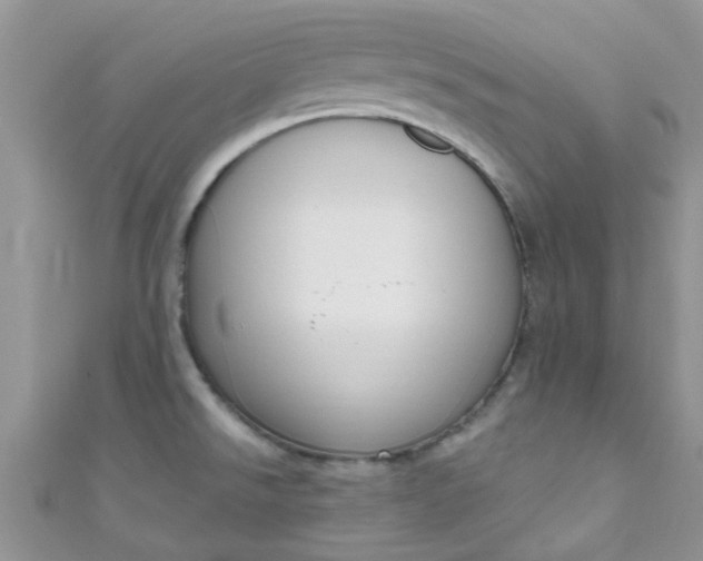 X0000111021526200907022148