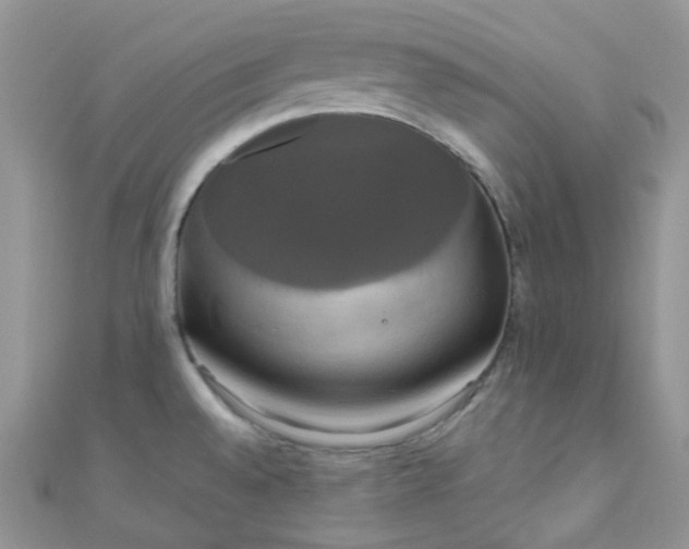 X0000111021528200907022148