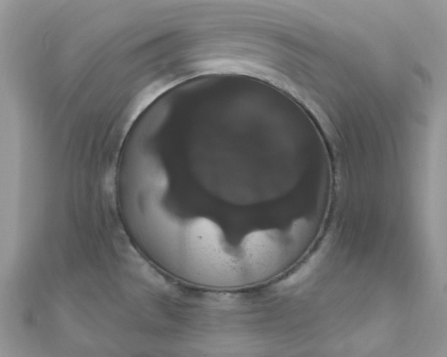 X0000111021529200907022148