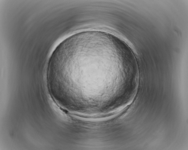X0000111021530200907022148