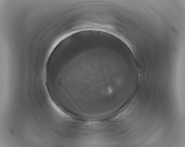 X0000111021531200907022148