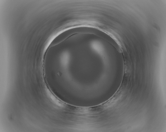 X0000111021532200907022148