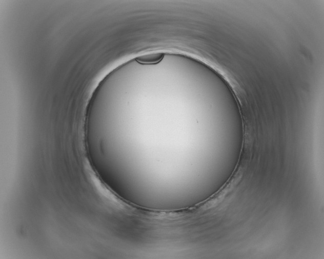 X0000111021534200907022148