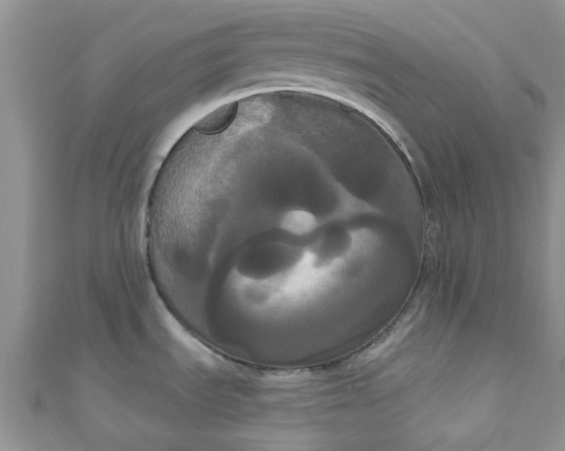 X0000111021535200907022148
