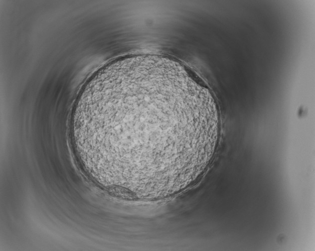 X0000111020001200907101351