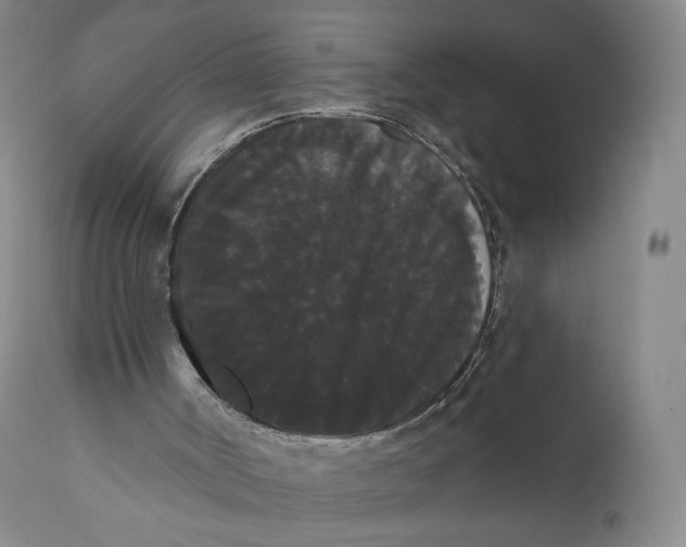 X0000111020002200907101351