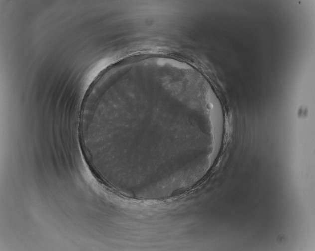 X0000111020003200907101351