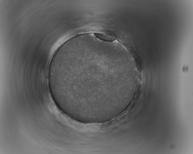 X0000111020004200907101351