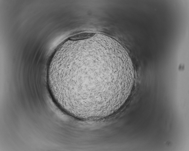 X0000111020005200907101351