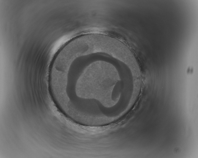 X0000111020006200907101351