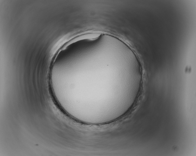 X0000111020007200907101351