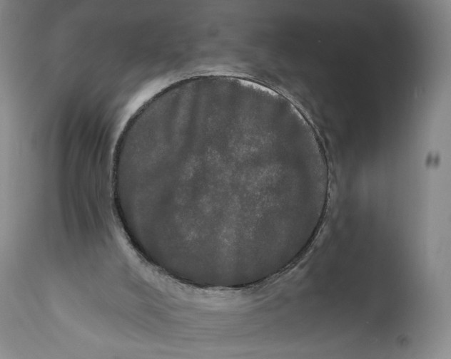 X0000111020008200907101351